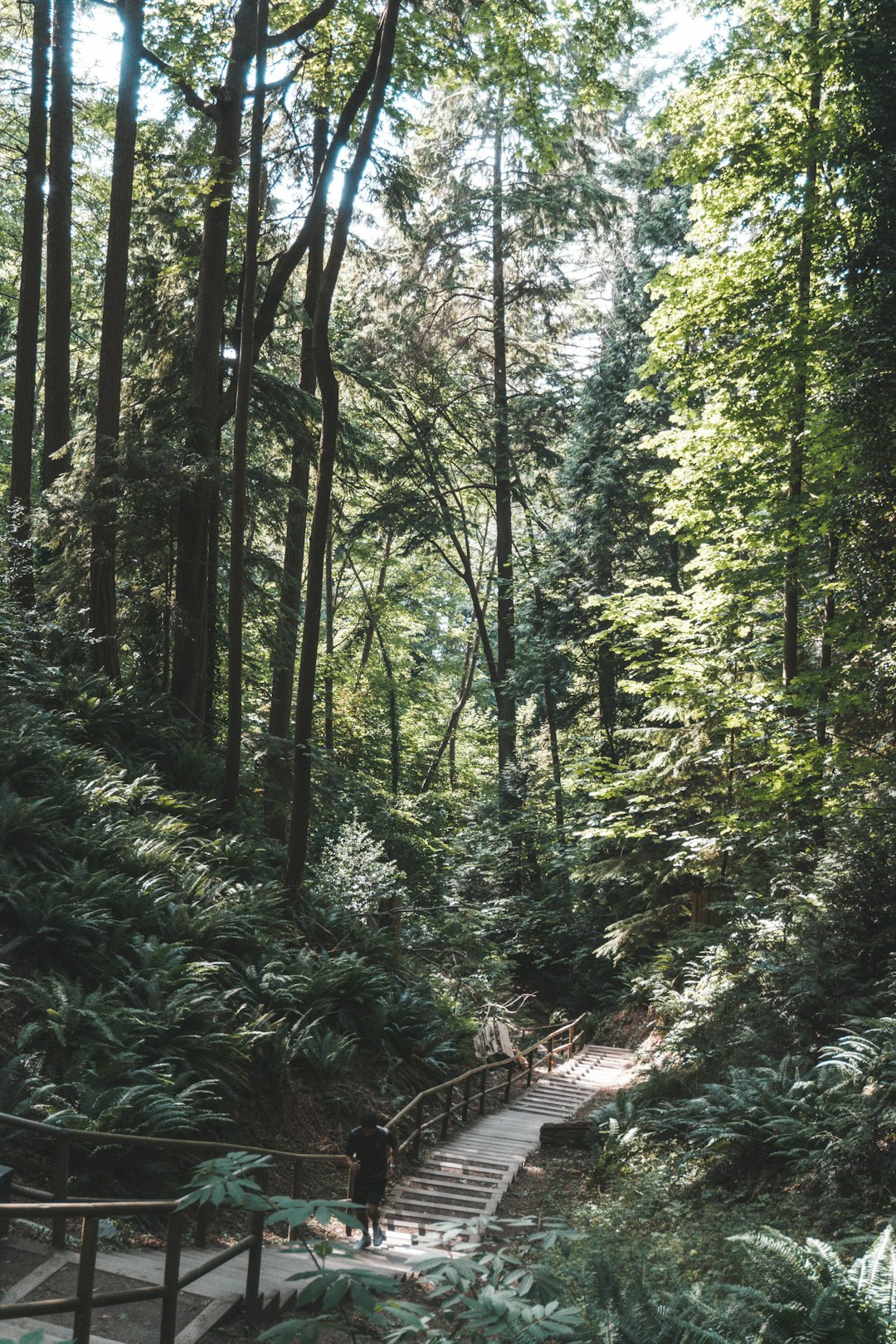 Forest photo spot UBC Wreck Beach Westwood Lake Trail