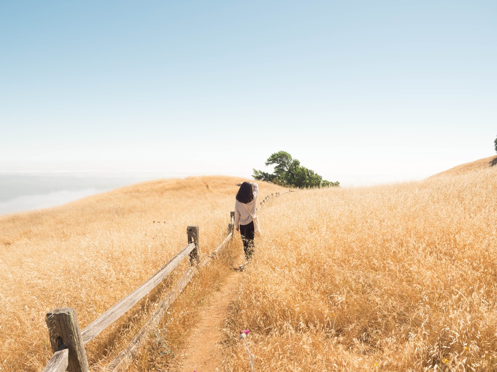 woman walking beside brown grasses