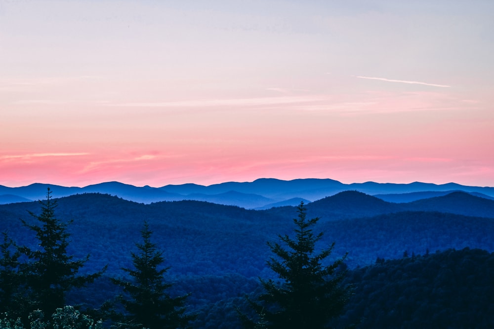 Árvores cobertas montanha tomada sob o céu rosa durante o pôr do sol