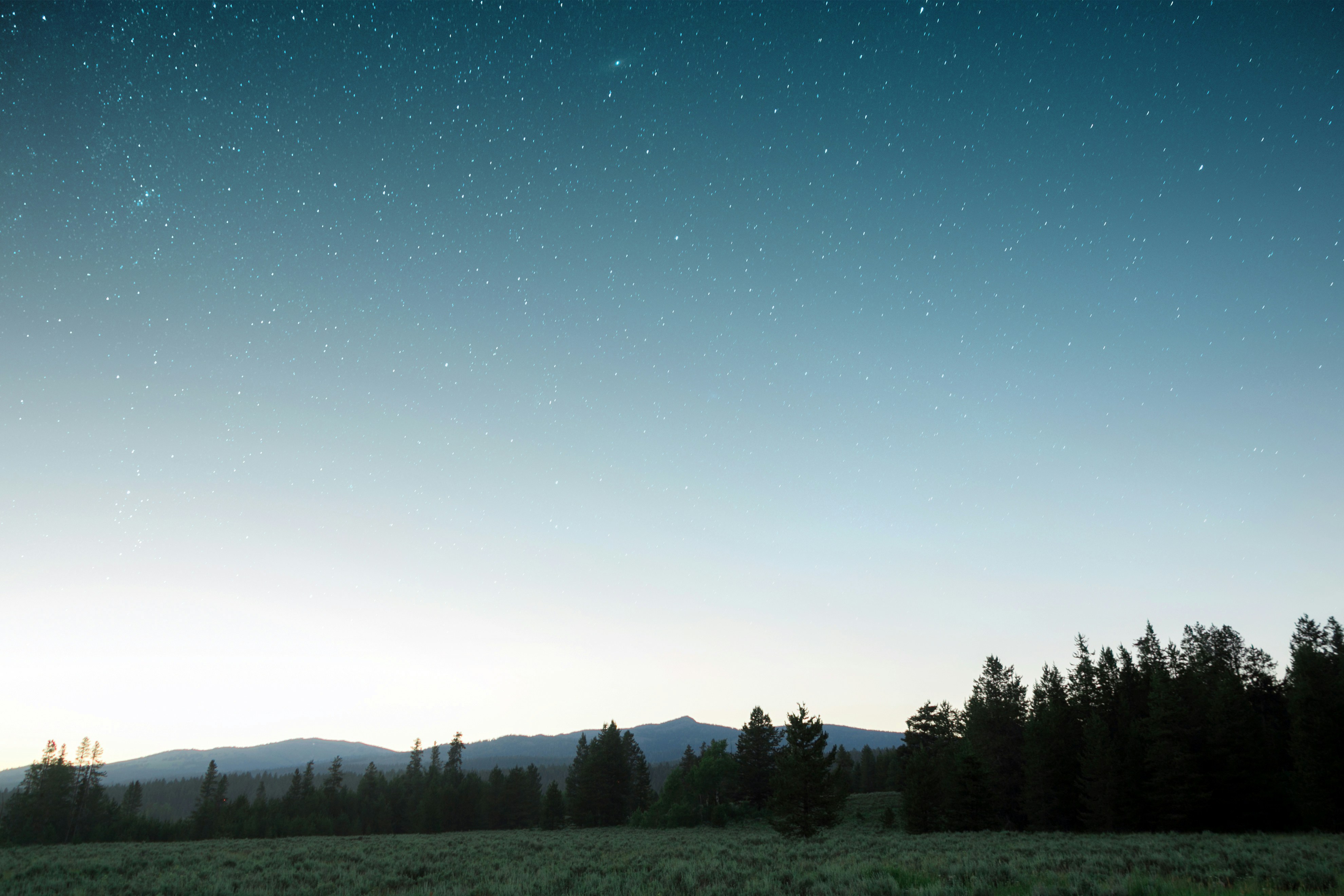 Photo by chasingafterdear