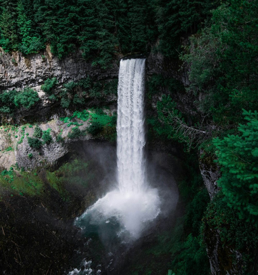 aerial view of waterfalls surrounded by green trees