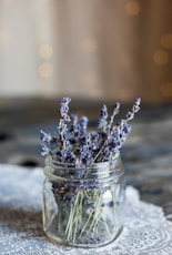 selective focus photography of blue petaled flowers in clear glass jar