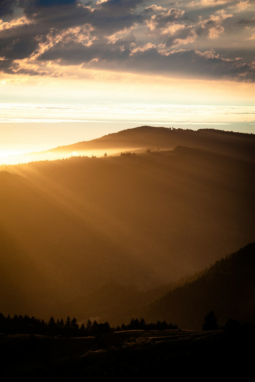 silhouette of trees and mountain during golden hour