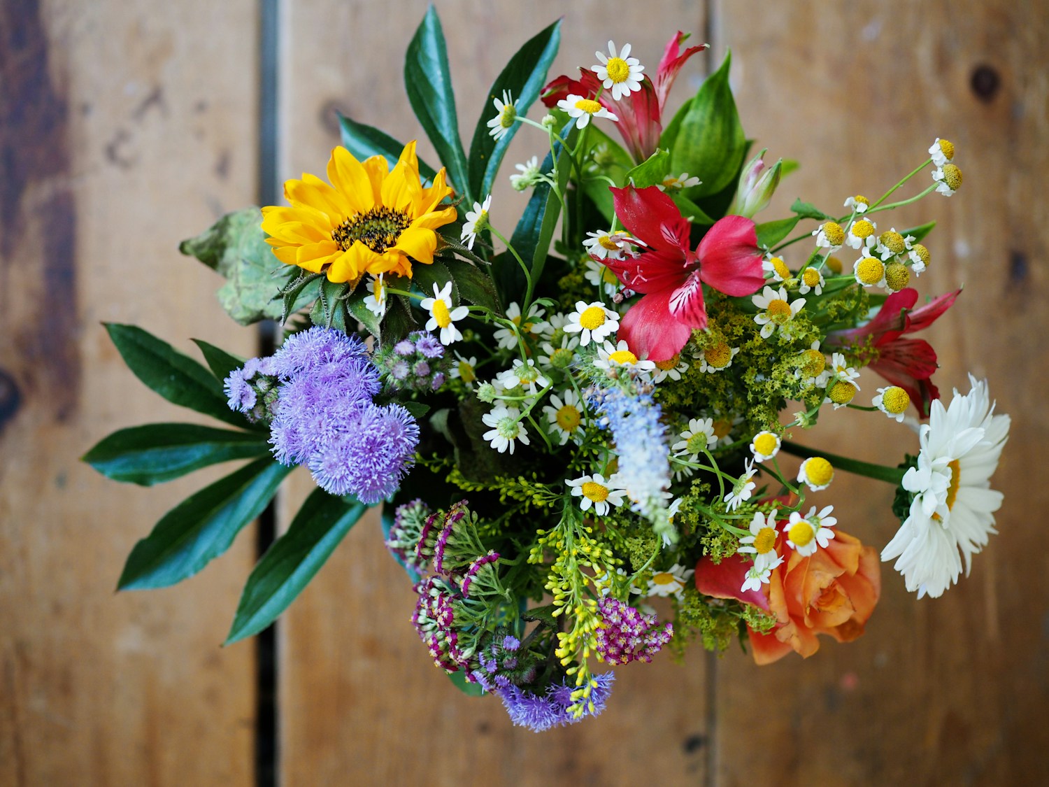 Wide Selection of Flowers Image