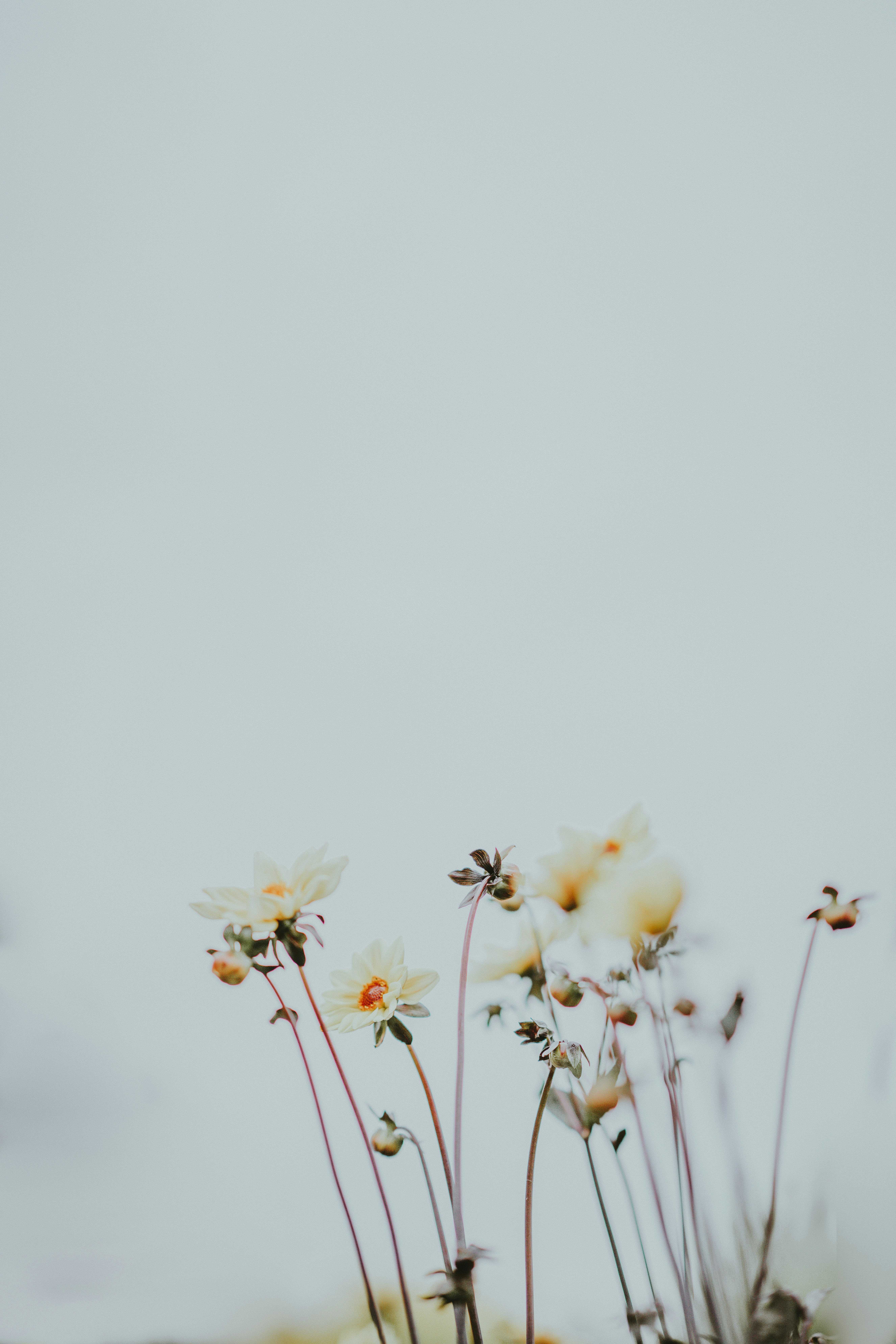 photo by Annie Spratt(https://unsplash.com/@anniespratt?utm_source=templater_proxy&utm_medium=referral) on Unsplash|300x200