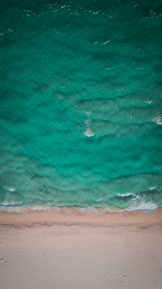 aerial photo of green body of water at daytime in Miami Beach United States