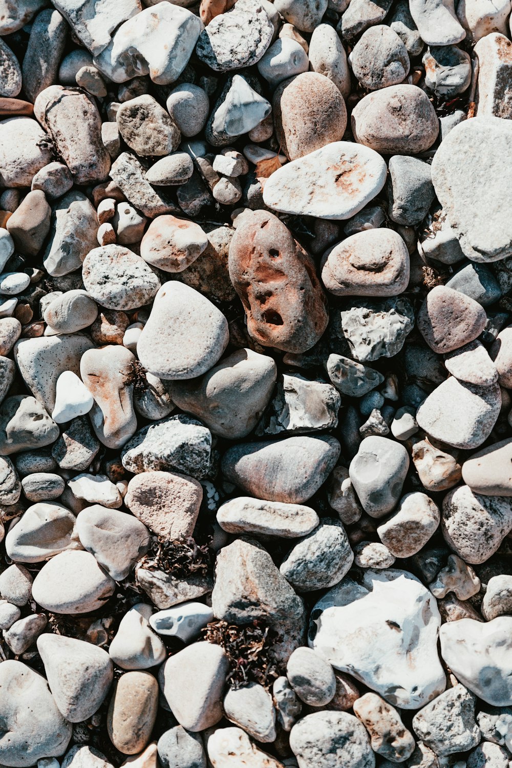 Nahaufnahme von grauen und braunen Steinen