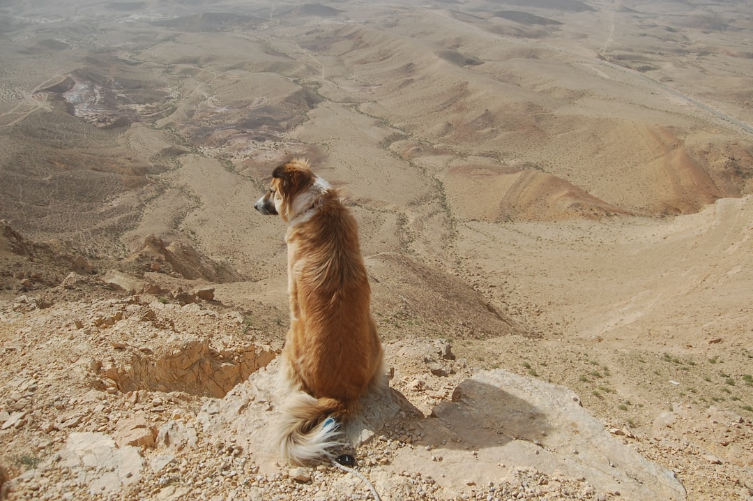 travelers stories about National park in Har Avnon, Israel