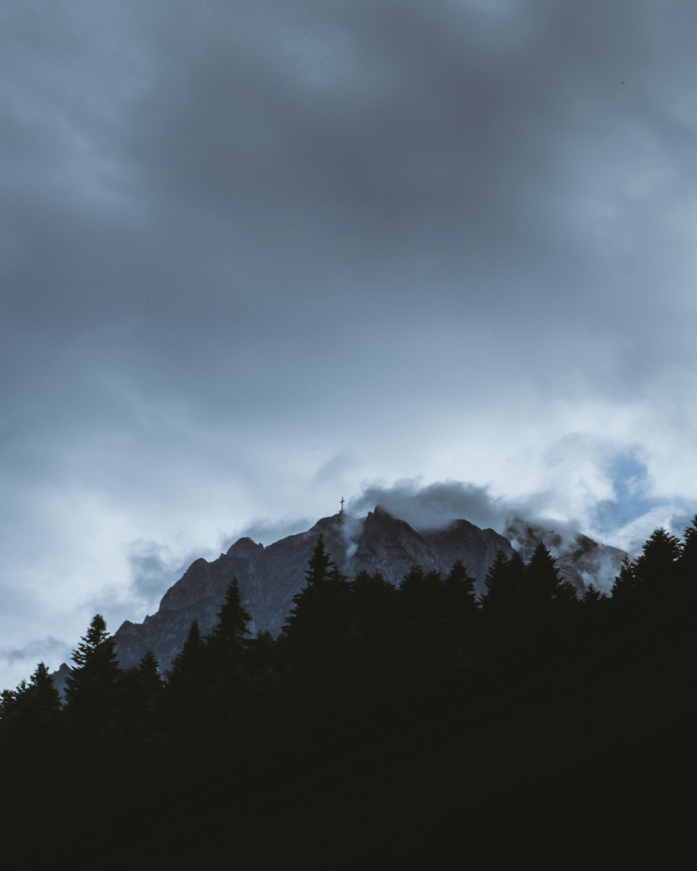 Silhouette von Kiefern in der Nähe von Bergen, die mit Nebel bedeckt sind