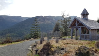 A rugged shelter built in the wilderness surrounded by dense forest under a cloudy sky.