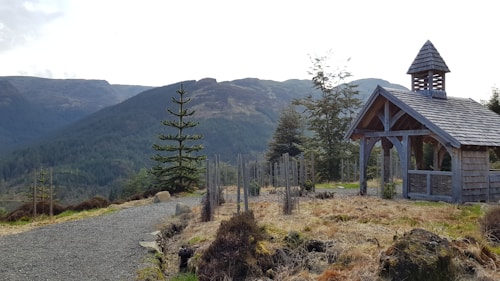 A rustic wooden shelter with a shingled roof surrounded by a mountainous landscape. The scene includes several coniferous trees and a gravel path leading towards the shelter. Dry grass and bushes are scattered across the open area, and in the background, forested hills rise gradually with a clear sky overhead.