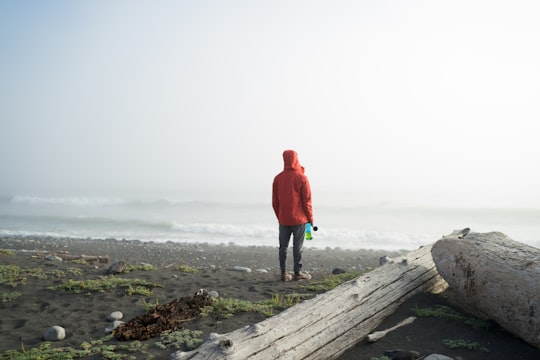 person standing on shore taken under white clouds at daytime in Lost Coast United States