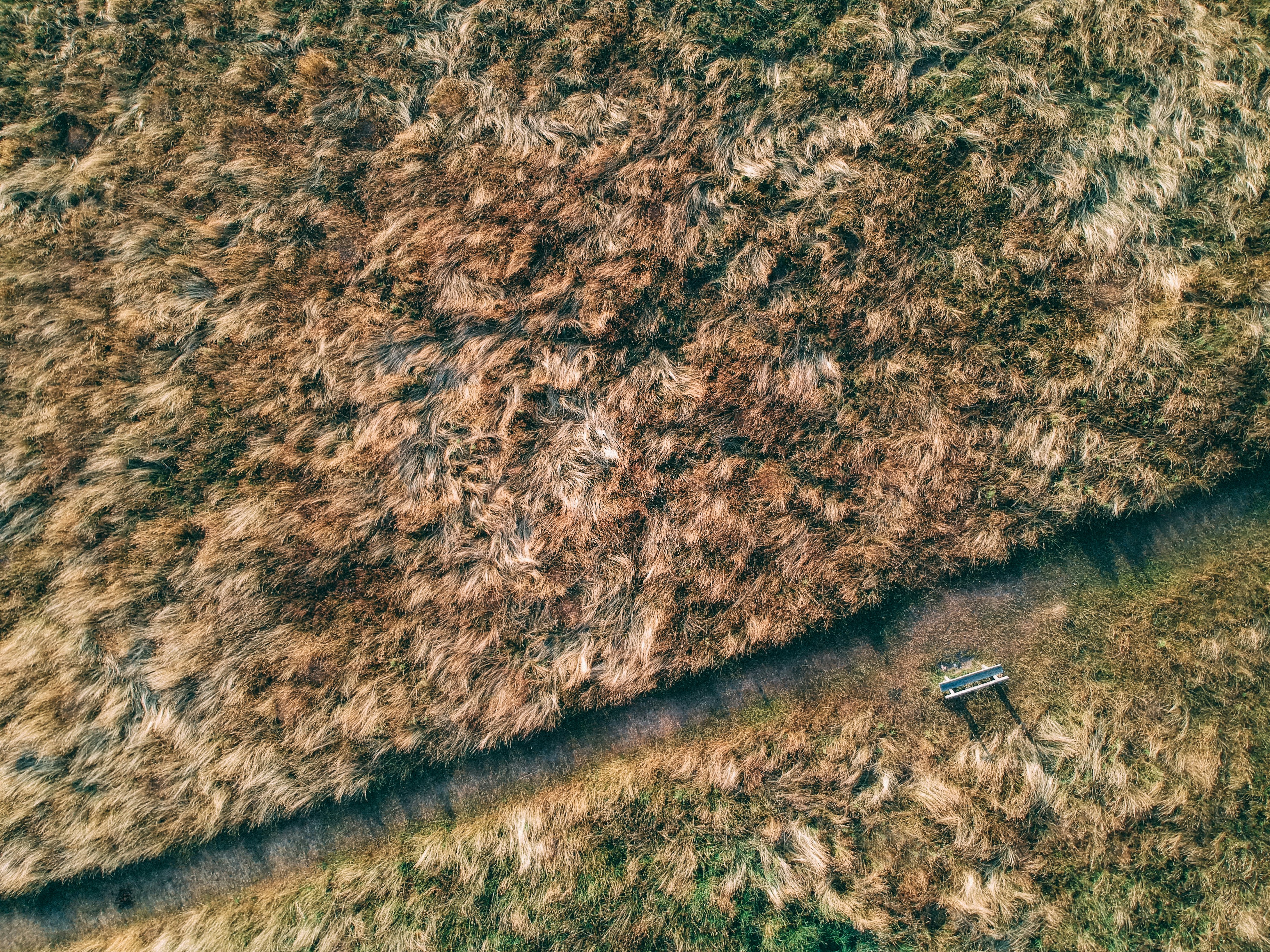 Photo by gokhunguneyhan