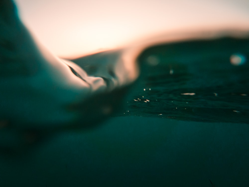 a close up of a water drop in the ocean