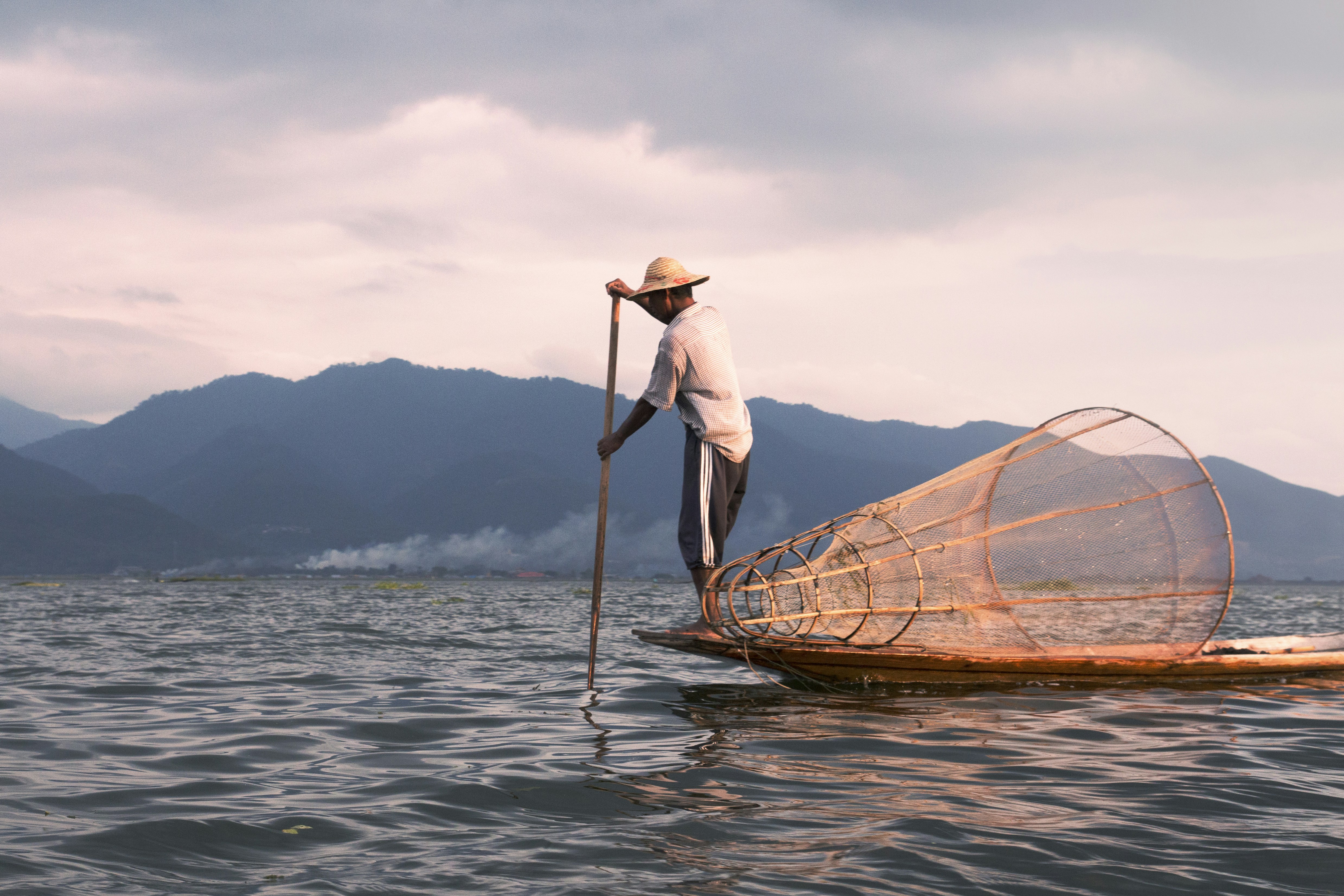 Fish Feed And Grow Download For Mac