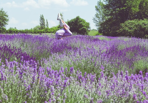 A peaceful woman practicing yoga at sunrise in a lavender field.