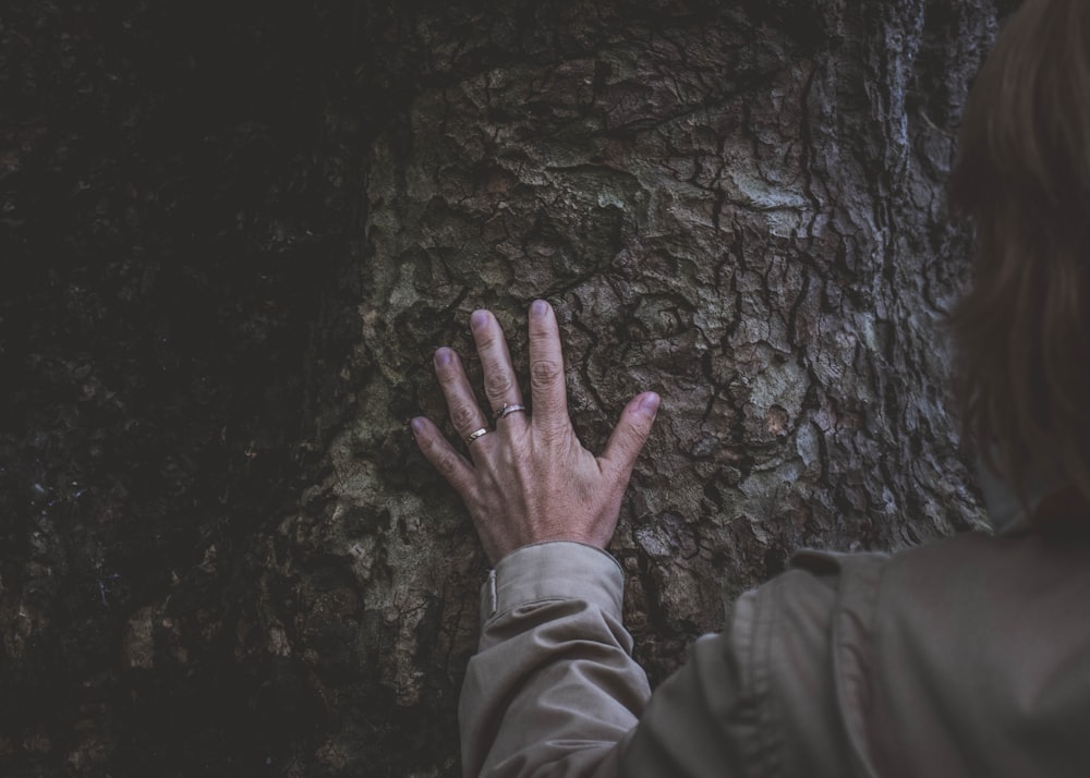 Persona tocando el tronco del árbol