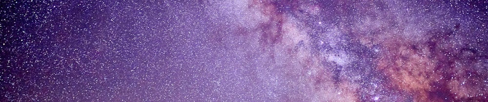 Flokimooni header image