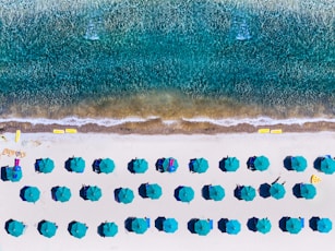 bird's eye view of seashore