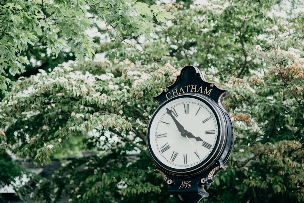 road Charham street clock beside trees