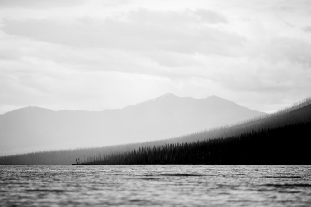 body of water beside island