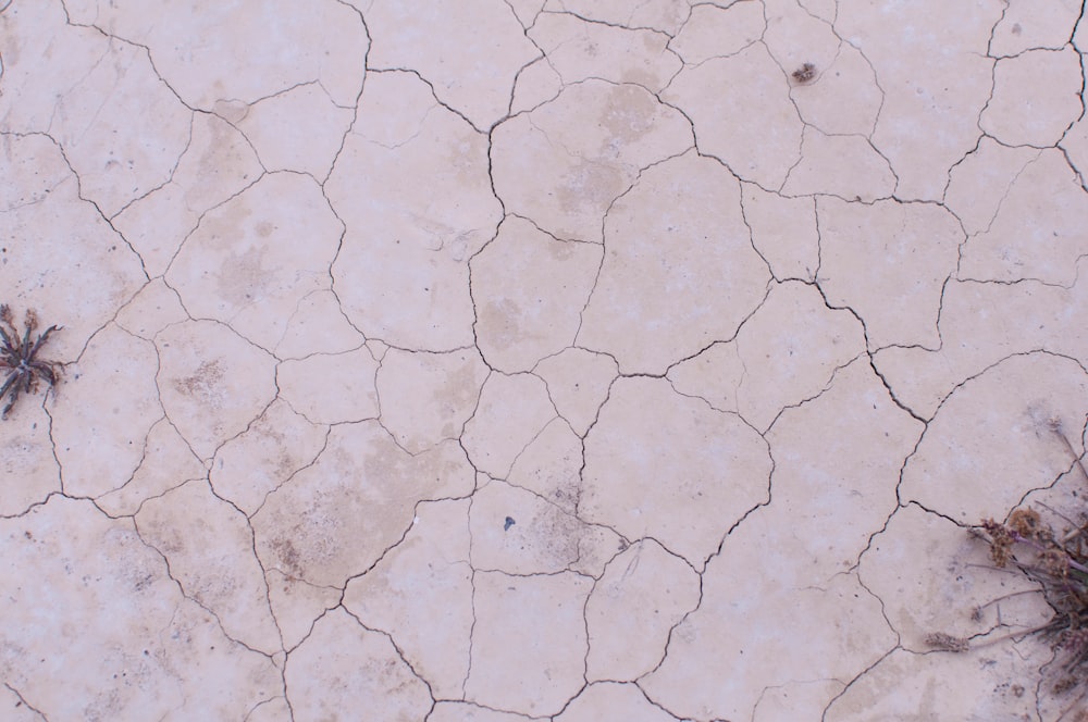 cracked white concrete floor