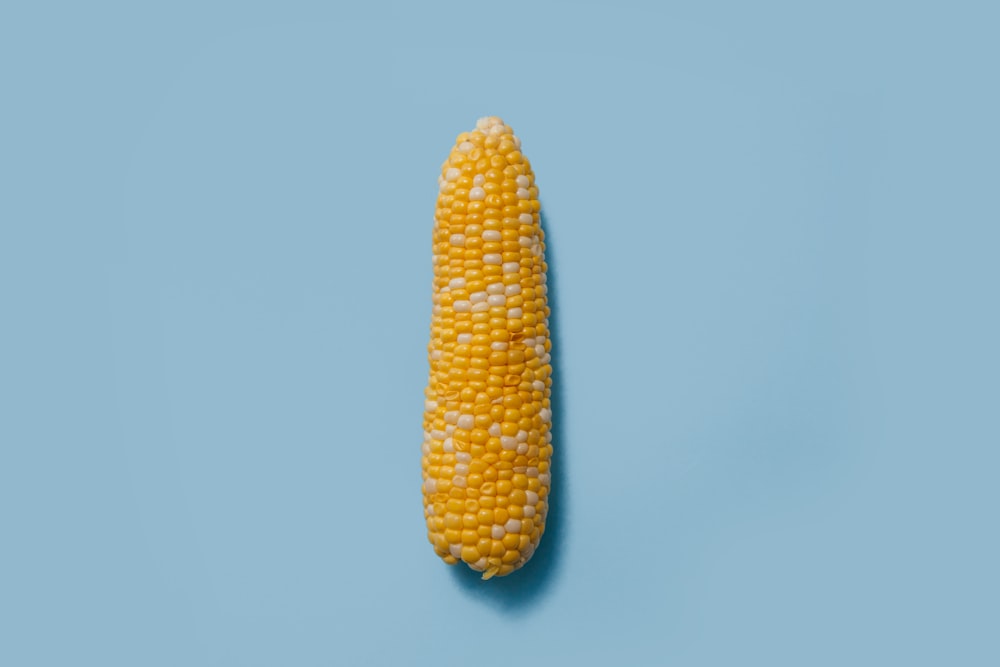 corn on teal surface