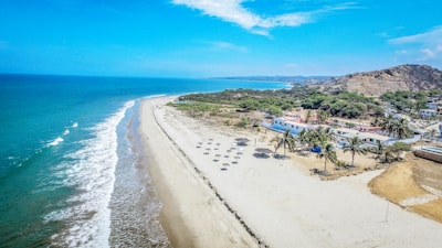 A scenic coastal landscape featuring a sandy beach lined with a row of parasols and palm trees. The calm ocean waves gently lap the shore. Residential buildings and lush greenery are visible further inland, with rolling hills in the distance under a clear blue sky.
