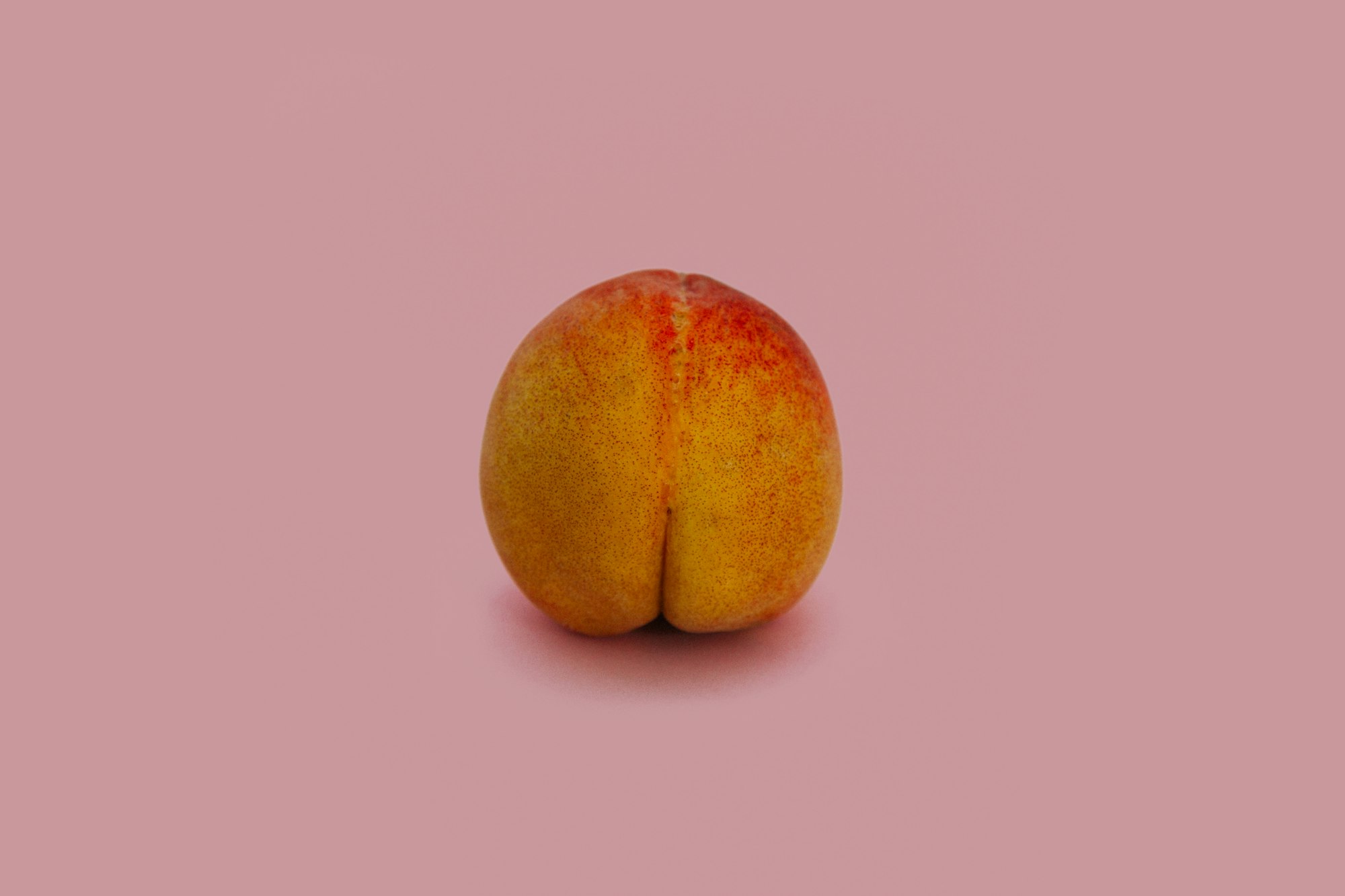 rw-book-cover