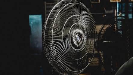 扇子的文化与功能