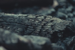 Finished wood-burned artwork featuring clean edges and dark shading created using the SGI method.