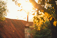 Late afternoon light casting long shadows over the lively chook coop.