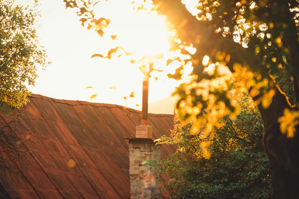 Warm afternoon light filtering through leaves, illuminating a family's shared laughter on a porch.