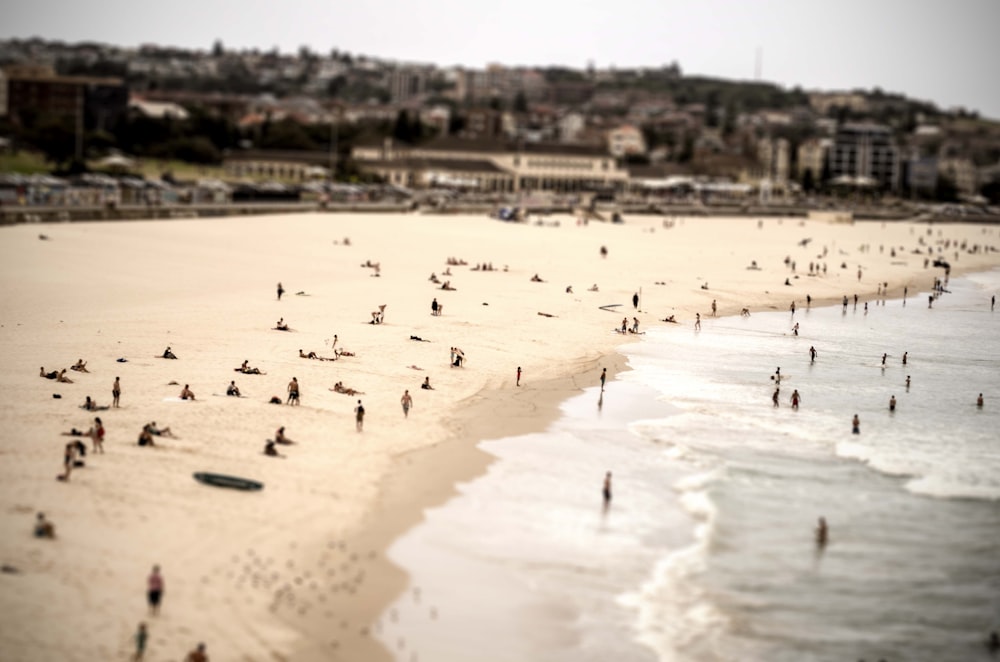 group of person enjoying on beach