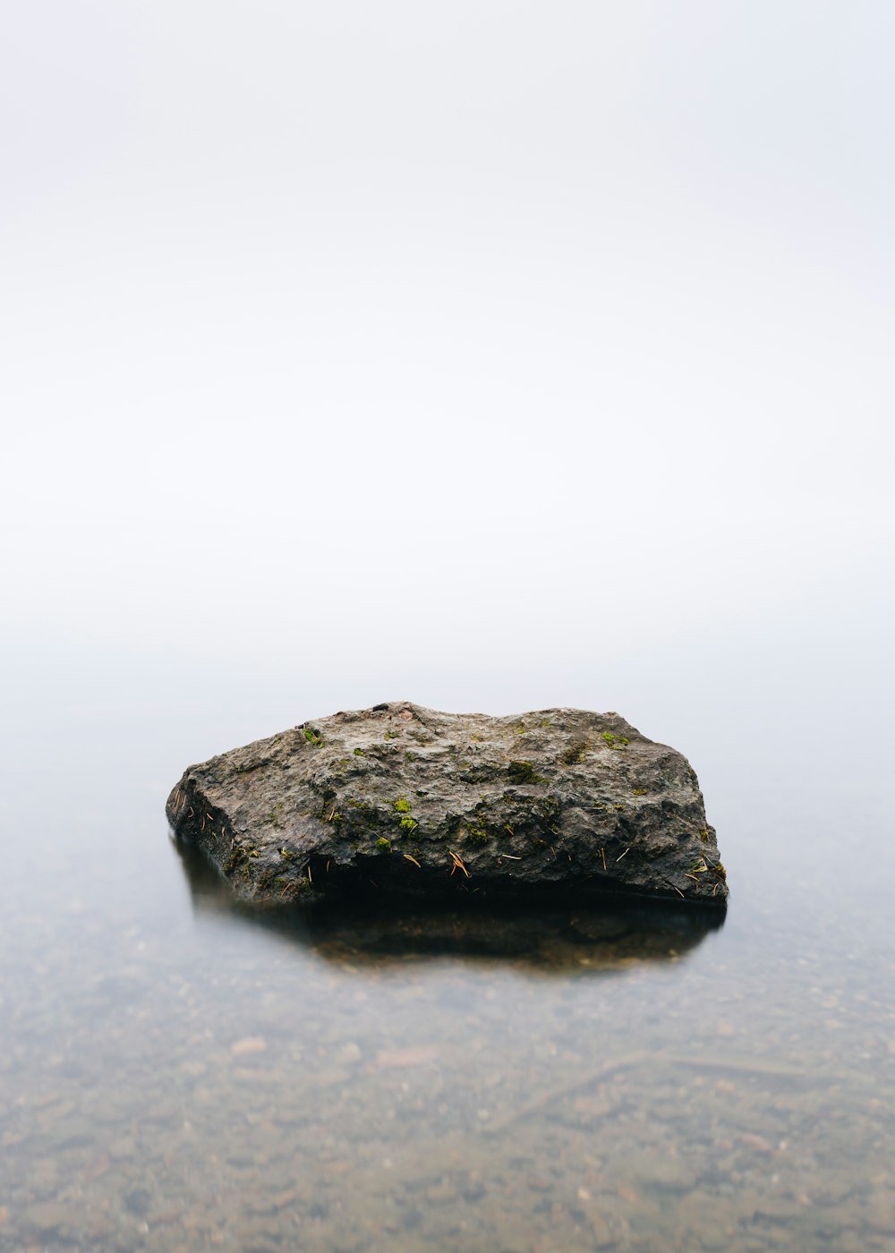 Pietra marrone in uno specchio d'acqua calma