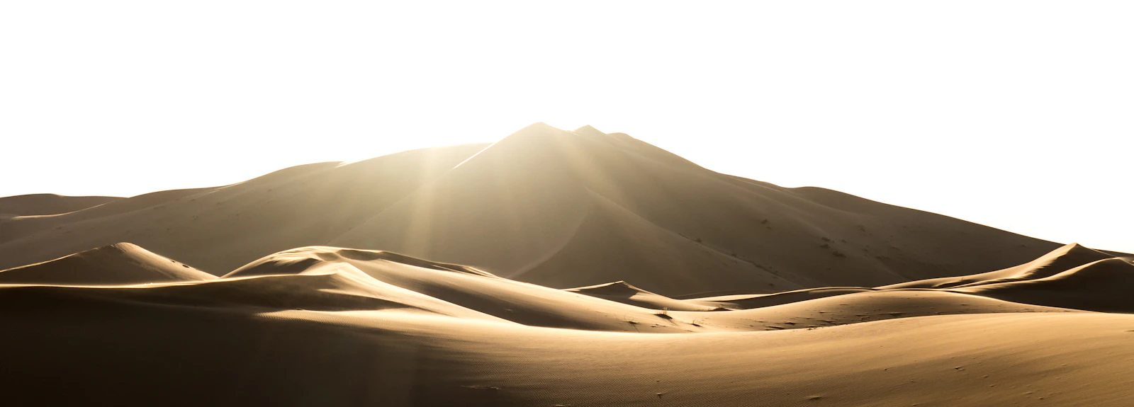 Desert camp at sunset in the Sahara