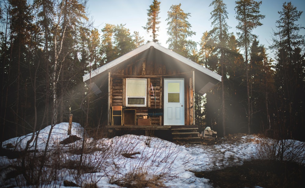 brown wooden house surrounded by trees at daytime