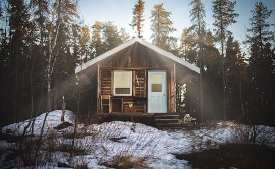 brown wooden house surrounded by trees at daytime in Girardville Canada