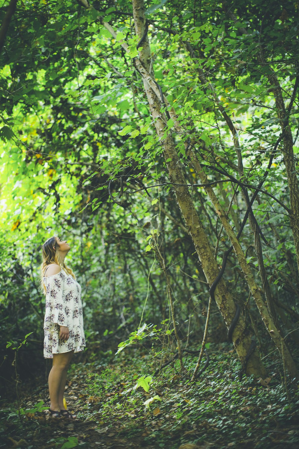 a woman standing in the middle of a forest