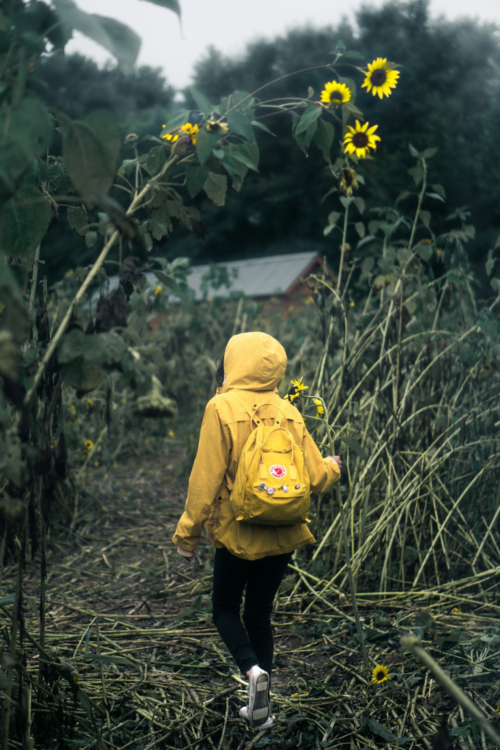 person walking on garden