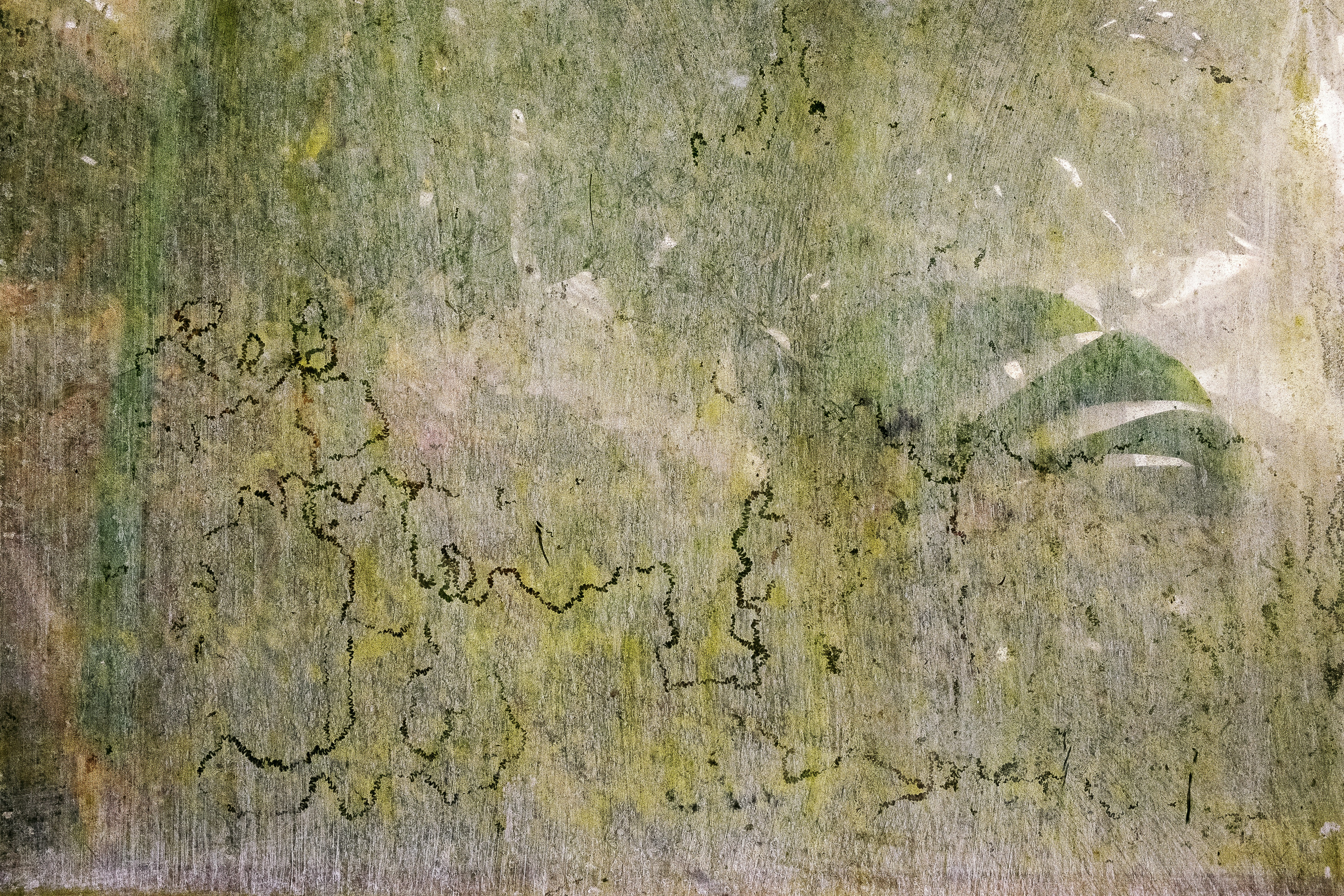 Photo by gstevens0884