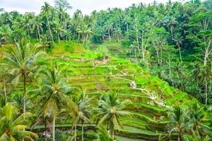 Tour Jogja Eksotis
