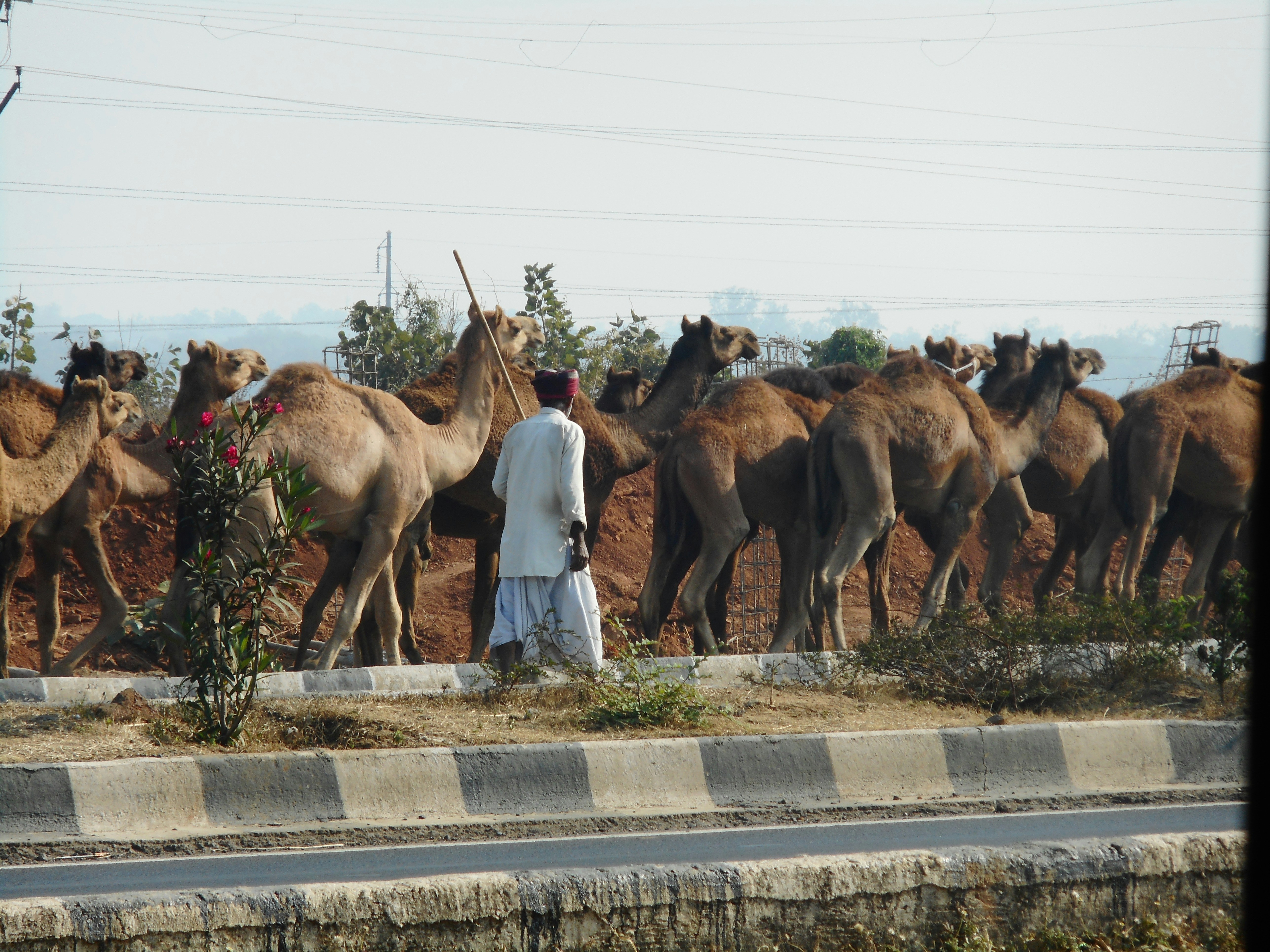 I AM A RIDER AN RIDING CHANDRAPUR NAGPUR HIGHWAY