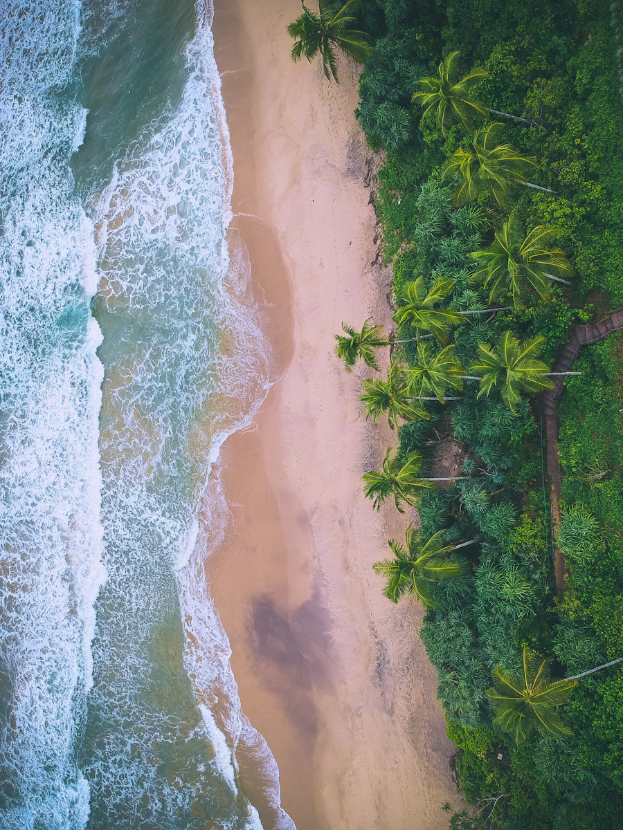 Bird's-eye view of golden sand and waves