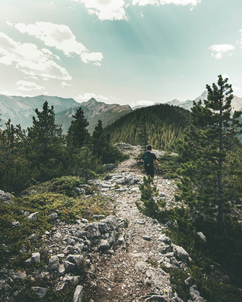 man walking on forest trail