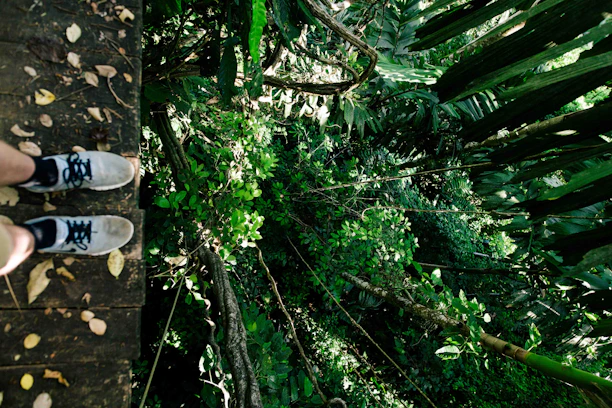person standing on cliffhanger