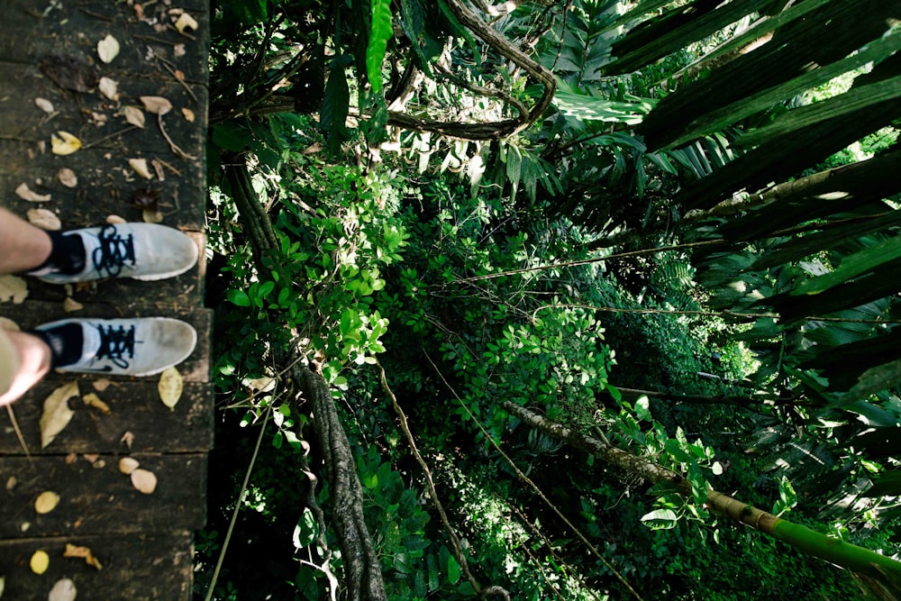 person standing on cliffhanger