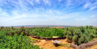 A panoramic view of a green open plot surrounded by trees and a distant city skyline.