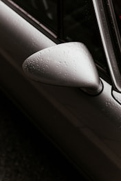 silver right wing mirror