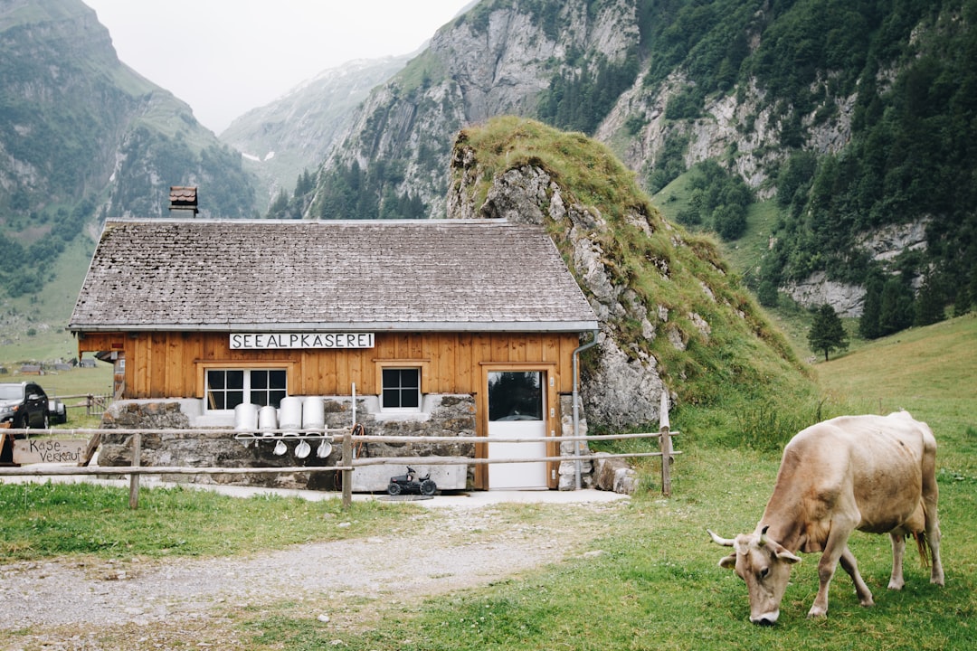 Hut photo spot Berggasthaus Seealpsee Switzerland